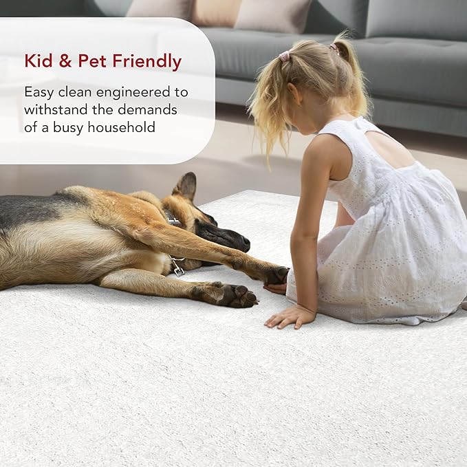 nuLOOM Gynel Solid 2x8 Runner Shag Rug for Living Room Bedroom Dining Room Nursery Entryway Hallway, Snow White