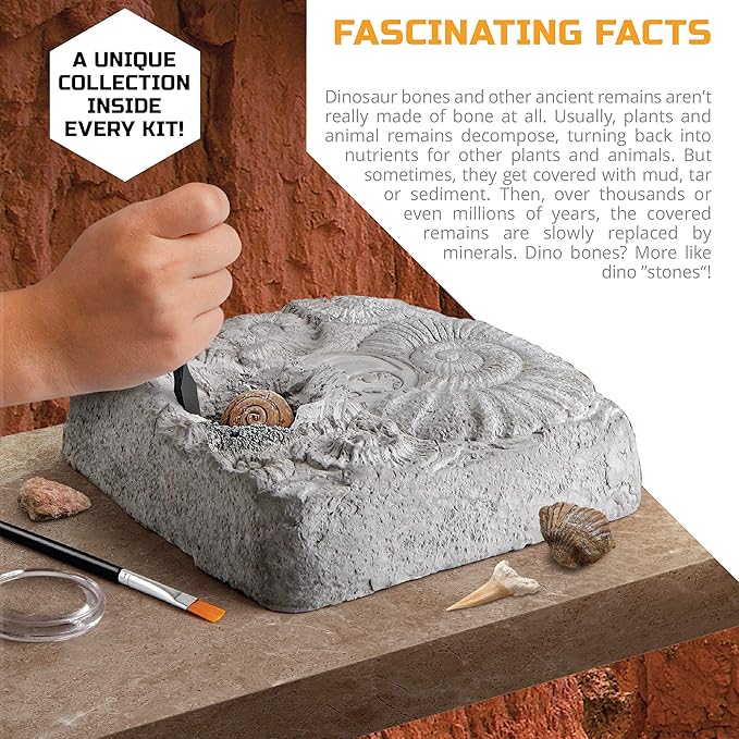 Discovery #MINDBLOWN Colossal Fossil Dig Set, 15-Piece Archeology Excavation Kit, Uncover Real Shark Teeth & More, Every Fossil Set is Unique, STEM Toys for Boys and Girls