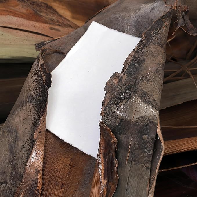 50 Pack Cotton Watercolor Paper with Deckle Edge 200 GSM Rough Textured Watercolor Paper for Writing