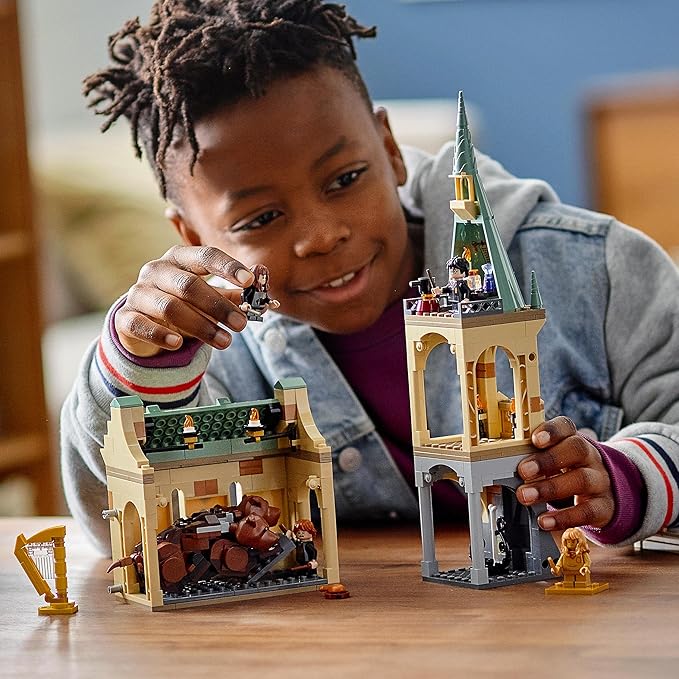 LEGO 76387 Harry Potter TM Hogwarts: Meeting Fluffy
