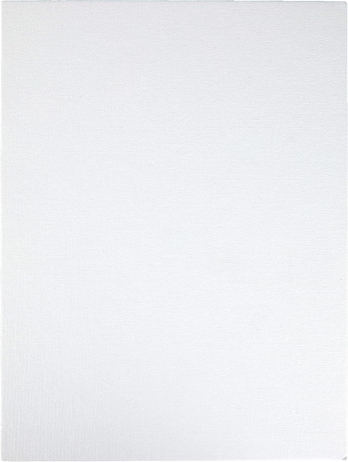 Crayola Paint Canvas Set, Painting Supplies, White, 2 Count