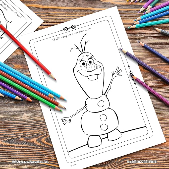 Disney Frozen 2 Anna and Elsa Coloring and Activity Carry Set with Sticker Sheets AS45853 Bendon, Multicolor
