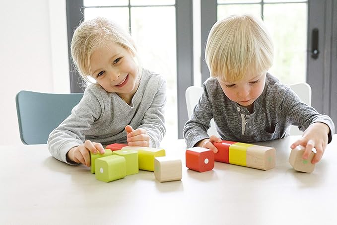 Tegu 6 Piece Magnetic Baby’s First Building Blocks, Tints