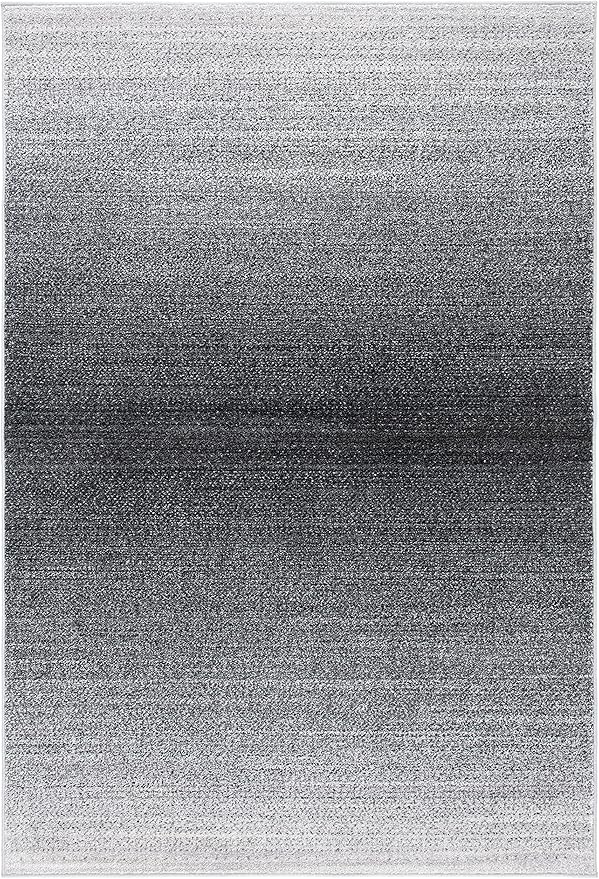 SAFAVIEH Adirondack Collection Accent Rug - 3' x 5', Grey & Dark Grey, Modern Ombre Design, Non-Shedding & Easy Care, Ideal for High Traffic Areas in Entryway, Living Room, Bedroom (ADR142H)