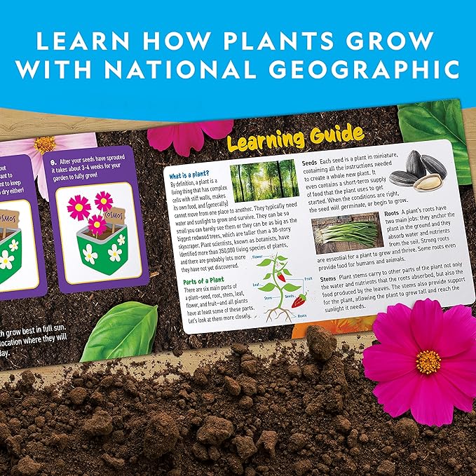 National Geographic Flower & Herb Gardening Kit for Kids - Kids Gardening Set with 3 Stainless Steel Pots, Paint & Stickers, Outdoor Toys, Craft Kits, Kids Plant Growing Kit (Amazon Exclusive)